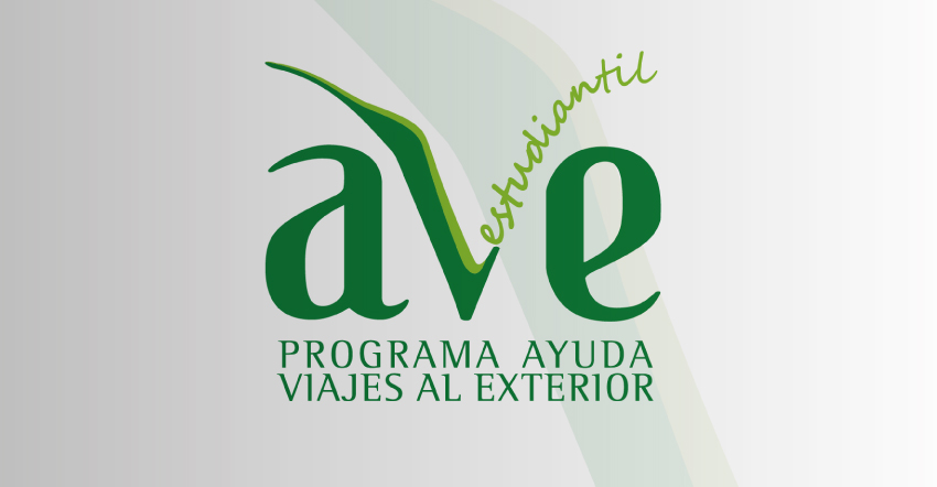 IX Convocatoria del Programa AVE Estudiantil