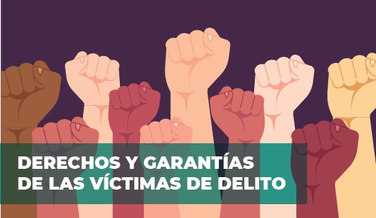 PROGRAMA DE EXTENSIÓN UNIVERSITARIA
