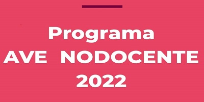 LANZAMIENTO DE LA CONVOCATORIA 2022 DEL PROGRAMA AVE NODOCENTE