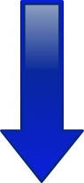 image11